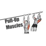 Muscles Worked in Pull Ups and Chin Ups
